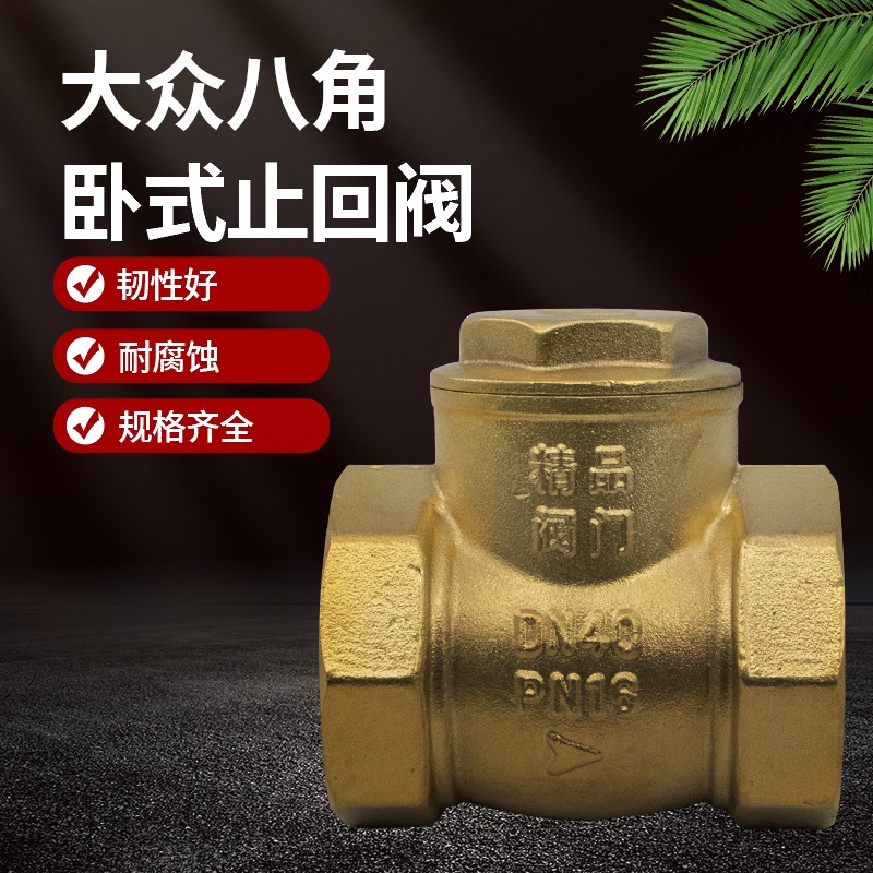 大众八角卧式止回阀